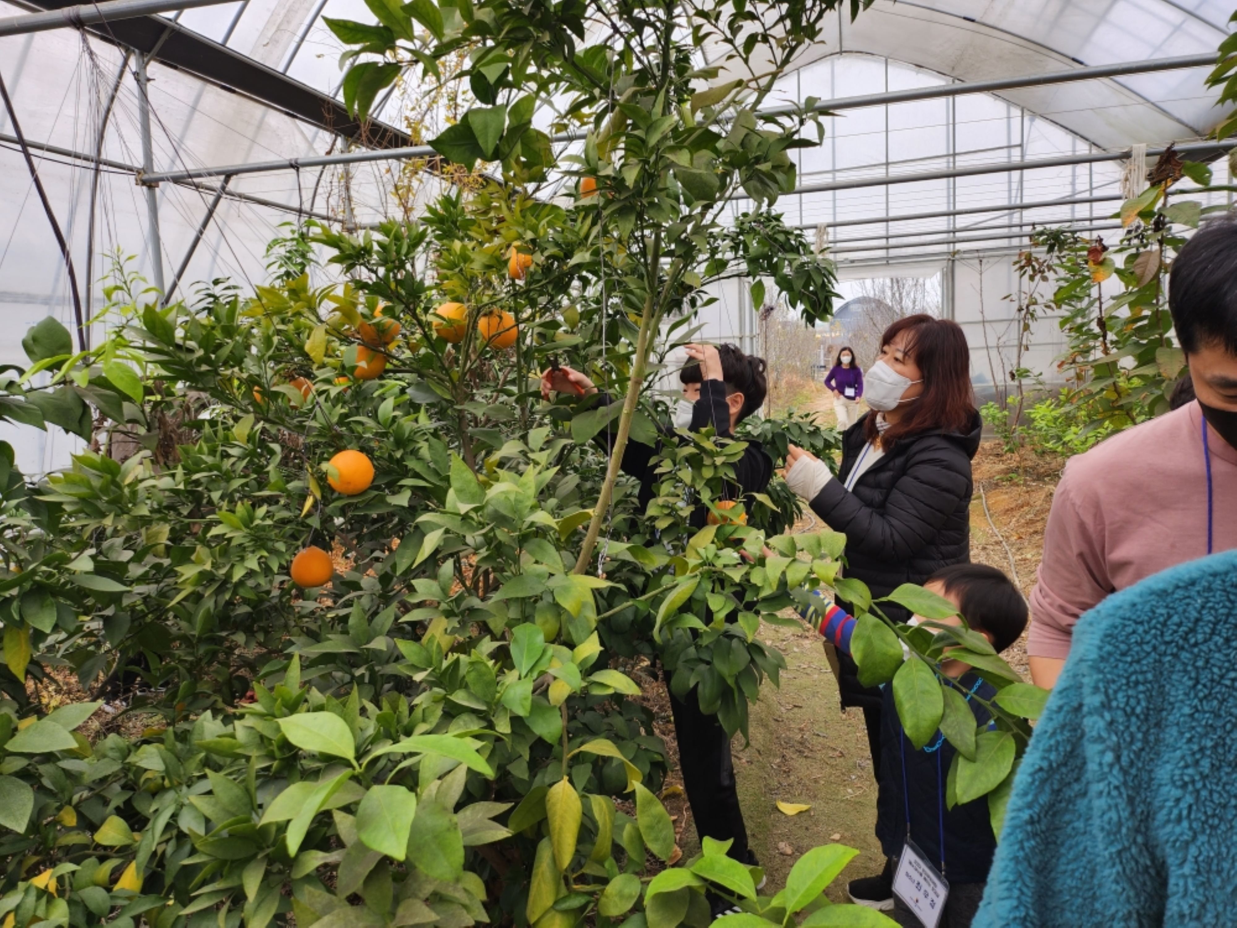 예감을깨우는 토요일 활동사진
