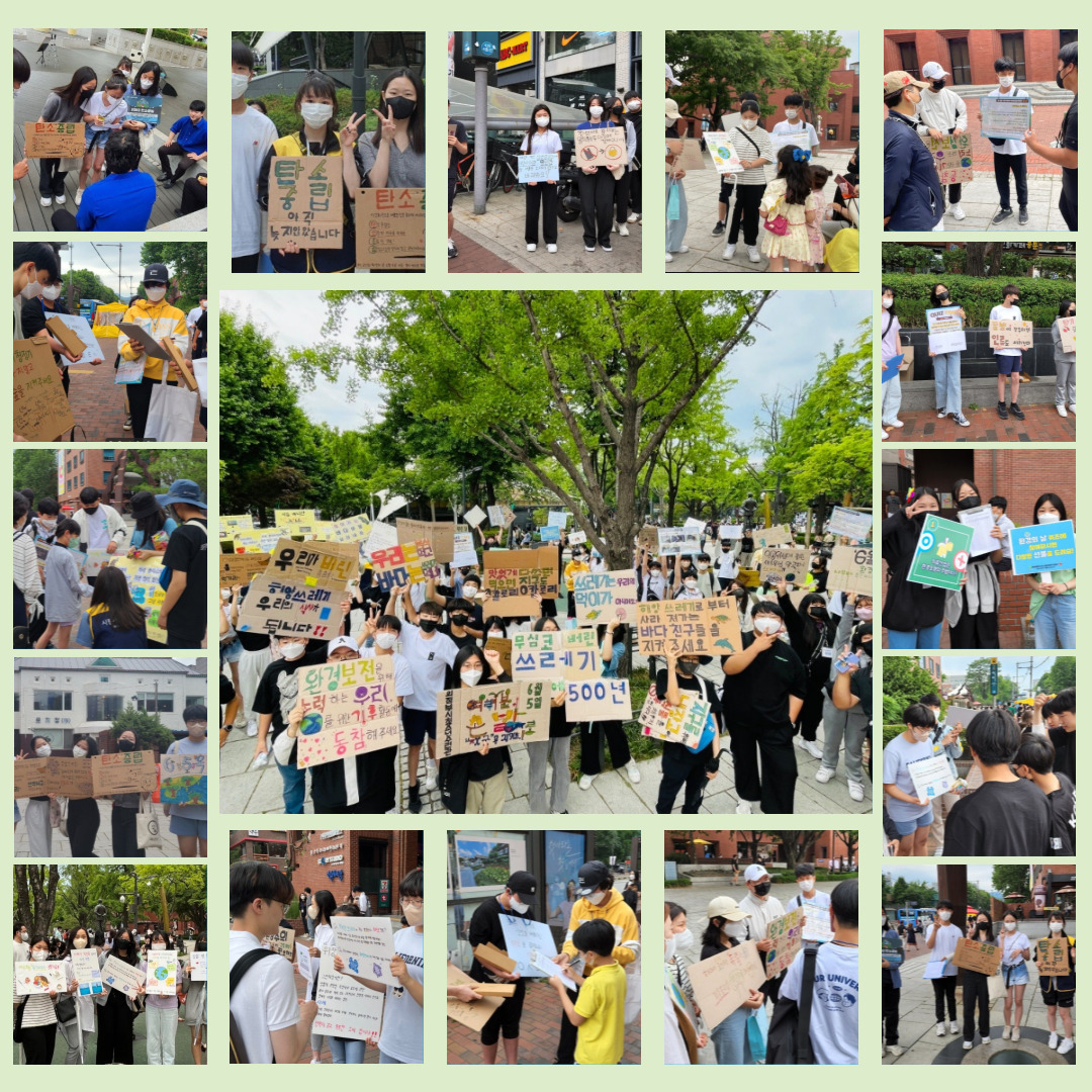 환경위원회활동 사진